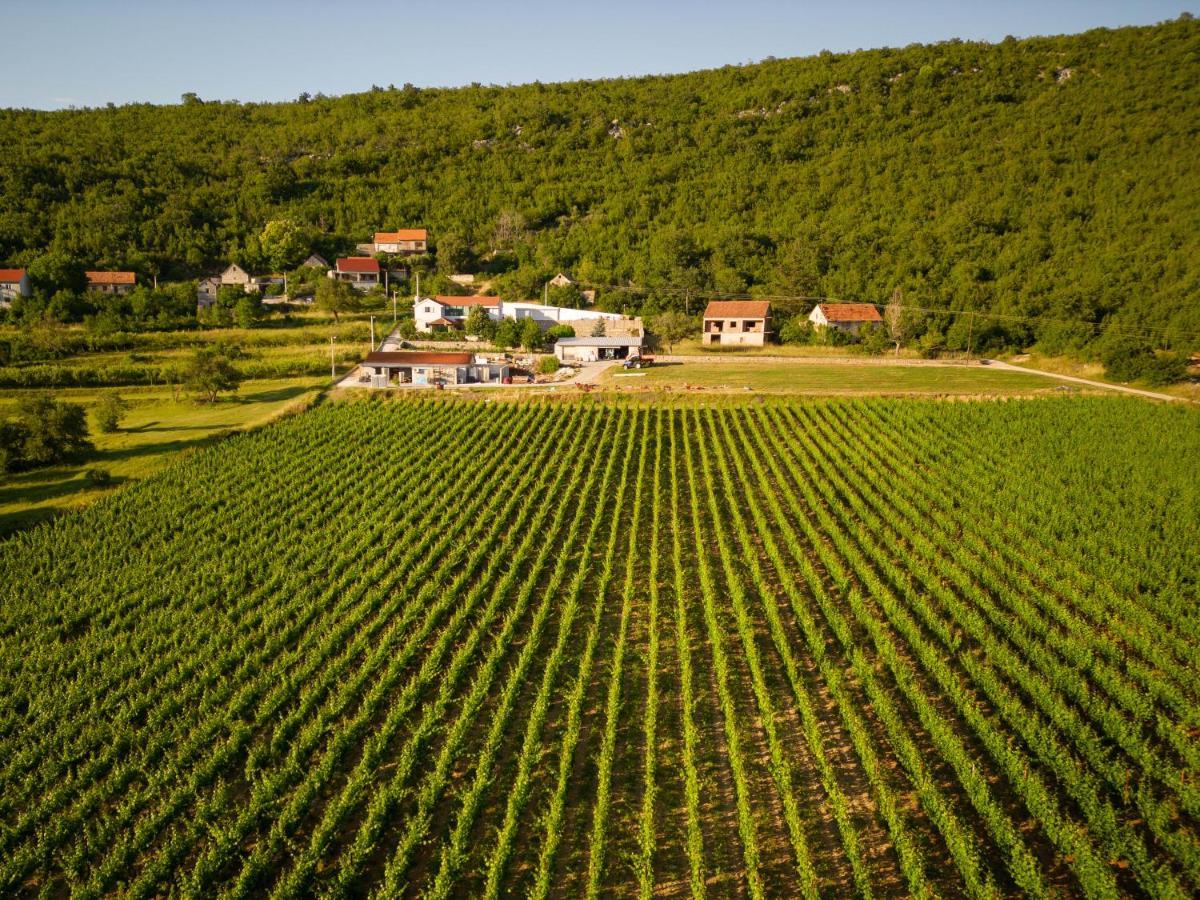 Krolo Villa&Wine 트릴리 외부 사진